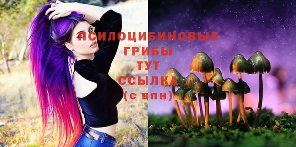 дурь Волосово