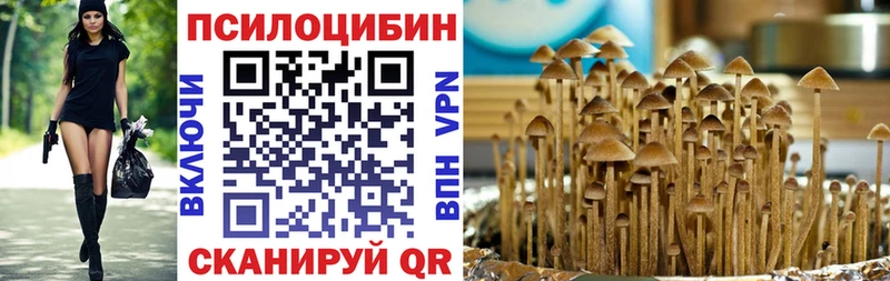 Купить закладки  Воронеж  Галлюциногенные грибы Cubensis 